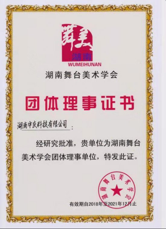 湖南舞台美术学会团体理事证书